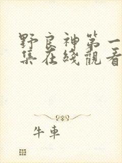 野良神第一季全集在线观看免费