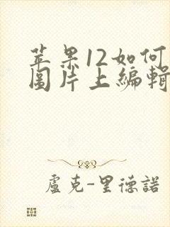 苹果12如何在图片上编辑文字