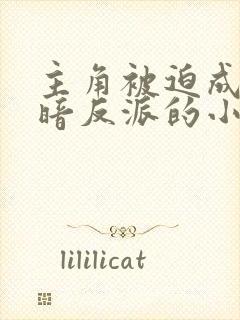 主角被迫成为黑暗反派的小说