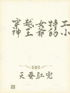 穿越女特工与战神王爷的小说