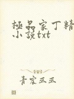 极品家丁精校版小说txt