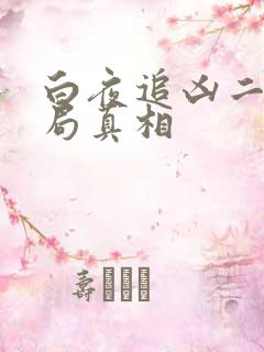 白夜追凶二大结局真相