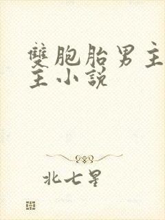 双胞胎男主一女主小说