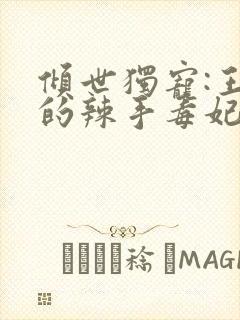 倾世独宠:王爷的辣手毒妃