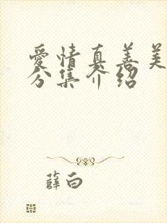 爱情真善美剧情分集介绍