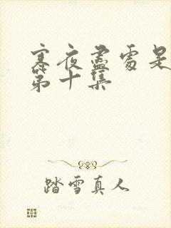 寒夜尽处是卿心第十集