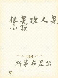 狼是攻人是受的小说