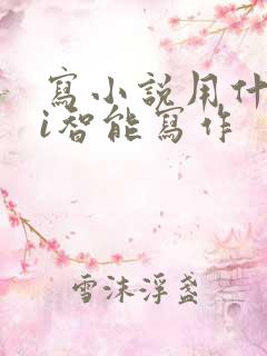 写小说用什么ai智能写作