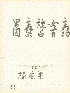 男主被女主疯狂囚禁占有的小说