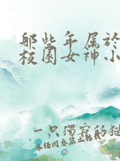 那些年属于我的校园女神小说