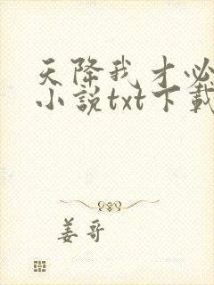 天降我才必有用小说txt下载