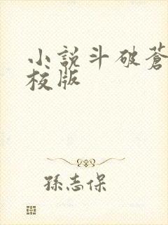 小说斗破苍穹精校版