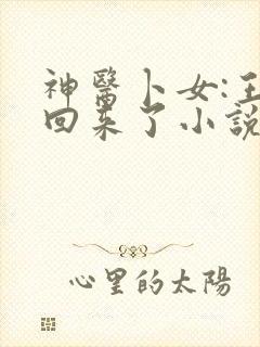 神医卜女:王妃回来了小说免费阅读