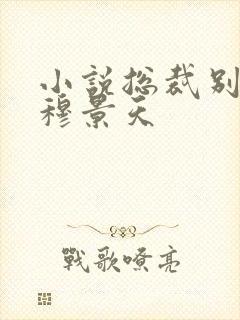 小说总裁别太坏穆景天