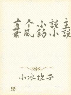 有个小说主角叫萧风的小说