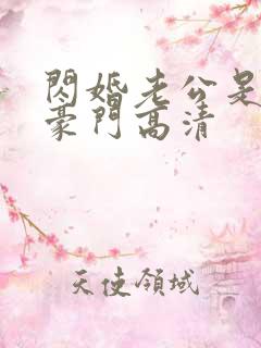 闪婚老公是超级豪门高清