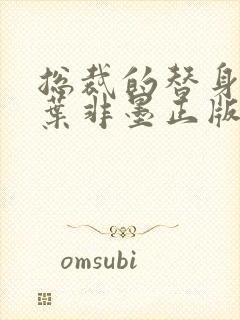 总裁的替身前妻叶非墨正版