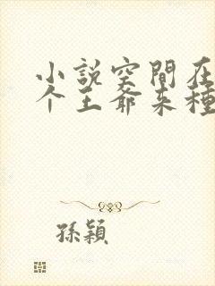 小说空间在手捡个王爷来种田