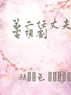 第二任丈夫韩剧电视剧