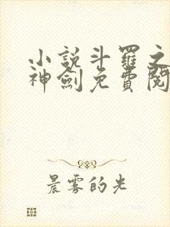 小说斗罗之灵珠神剑免费阅读全文