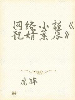 网络小说《上门龙婿叶辰》