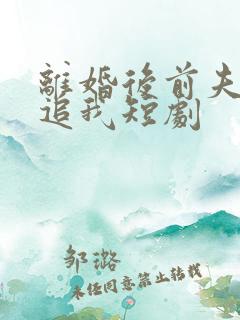 离婚后前夫总想追我短剧