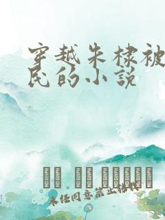 穿越朱棣被贬农民的小说