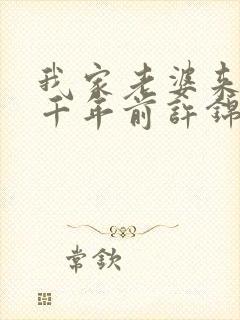 我家老婆来自一千年前许锦