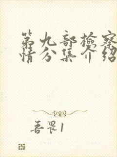 第九部检察官剧情分集介绍