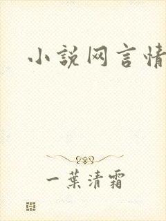 小说网言情小说