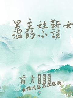 男主姓靳女主姓温的小说