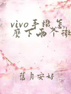 vivo手机怎么下两个微信软件