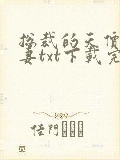 总裁的天价小娇妻txt下载完本