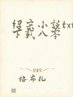 绍宋小说txt下载八零