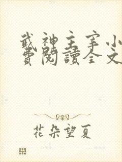 武神主宰小说免费阅读全文无弹窗