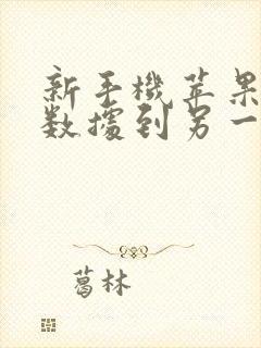 新手机苹果传输数据到另一个苹果