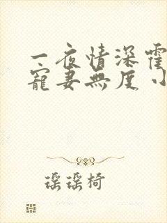 一夜情深霍先生宠妻无度 小说