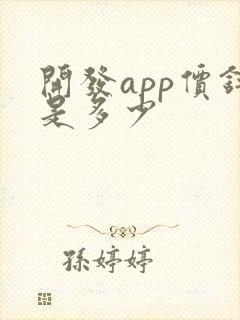 开发app价钱是多少