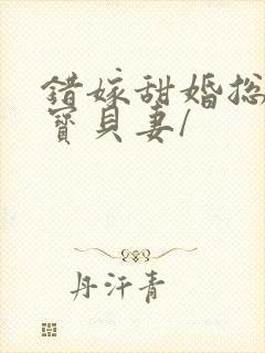 错嫁甜婚总裁的宝贝妻/