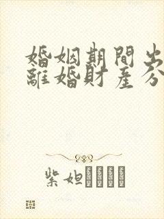 婚姻期间出轨了离婚财产分割