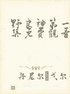 野良神第一季全集免费观看中文版