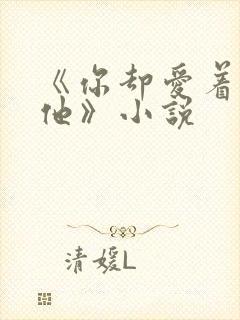 《你却爱着一个他》小说