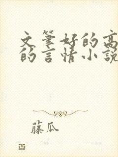 文笔好的高质量的言情小说