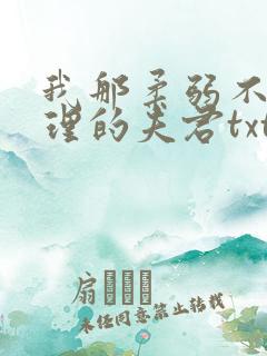 我那柔弱不能自理的夫君txt下载