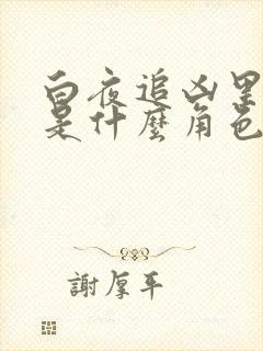 白夜追凶里韩彬是什么角色