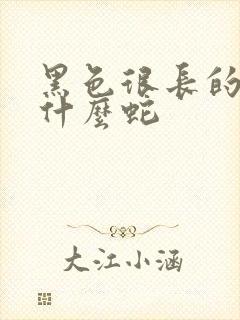 黑色很长的蛇是什么蛇