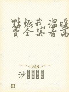 点燃我温暖你免费全集看高清