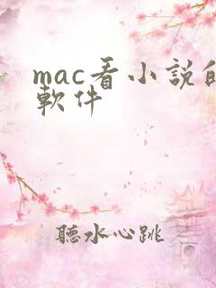 mac看小说的软件