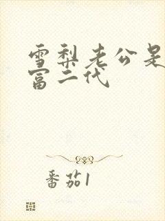 雪梨老公是超级富二代