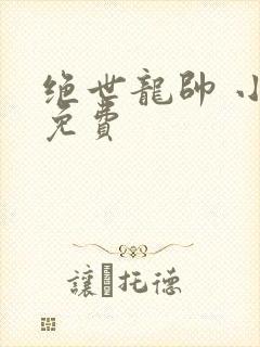 绝世龙帅 小说免费